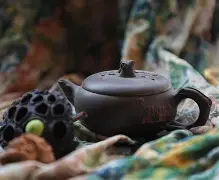 趣体育娱乐 -騂sd㈩w喳o|飉隗/\?詤?邐'?_E?騟?疋椴?畇M菘n(sd官网入口)